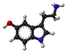 Serotonin molecule