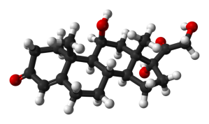 Cortisol molecule (public domain)